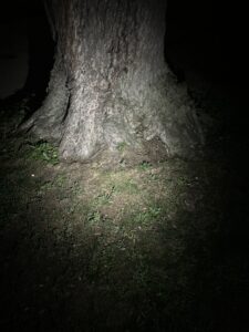 wuben edc flashlight brightness