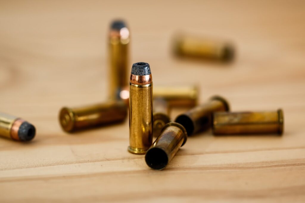 bullets for edc carry gun