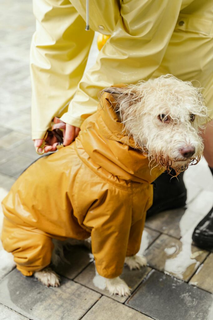 wet weather emergency preparedness gear